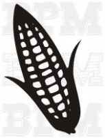 /album/tematicke/a17-jpg2/