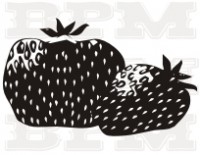 /album/tematicke/a20-jpg2/